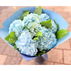 Buchet 5 Hortensia Baby Blue BH2